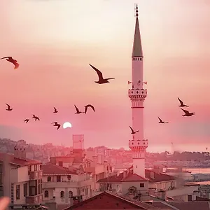 شقة هالا آبلا إفليري, ترابزون